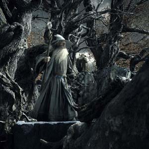 Gandalf the Grey and Radagst the Brownat Gol Dulgur in The Hobbit: The Desolation of Smaug