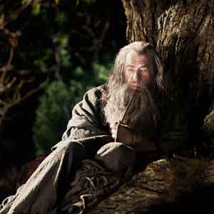 Gandalf the Grey