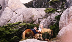 Panto Bill on duty, Photo by Ian McKellen