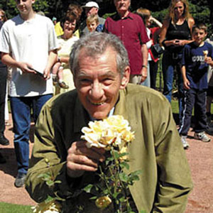 2003,   Mesnes Park Gardens, Wigan  