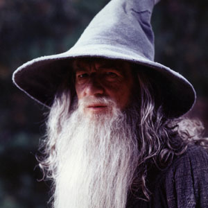 Gandalf the Grey