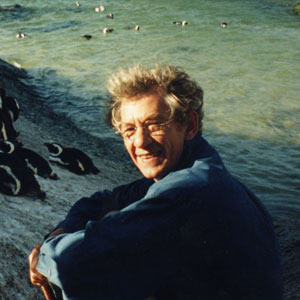 With South African Penguins