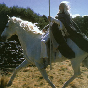 Gandalf and Shadowfax