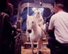 On the set on Shadowfax