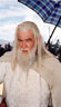 Gandalf the White