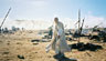 Gandalf the White surveys the carnage of Pellenor Fields