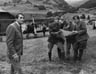 Gregory Peck with his young team of aircraftsmen planning to carry Allied aeroplane parts through occupied territory where they would be reassembled in order to bomb enemy targets.
<br /><br /><I>Peck kept himself privately in his caravan between shots, where he read and answered his mail.  He told me about his early days in theatre, where he had been happy just to sweep the stage.  He was now a huge movie star.  In our film he was not well-cast as an English army Colonel � he repeatedly addressed me as Loo-tenant: and when I repeatedly corrected his pronunciation (in UK we say Left-tenant), the director David Miller told me to shut up. Never forget Ian, Great Britain is only 5% of the world market.</I>