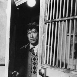 The injured Walter (Ian McKellen) returns home to the comfort of his pigeon-loft.