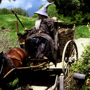 Ian McKellen as Gandalf the Grey