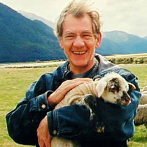 In New Zealand