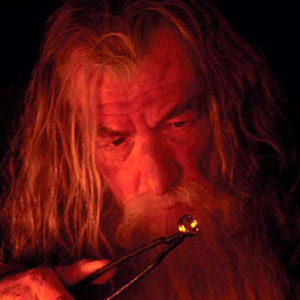 Gandalf retrieves the Ring from Bilbos fireplace at Bag End