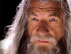 Gandalf the Grey