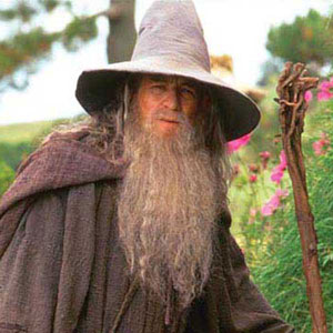 Gandalf the Grey