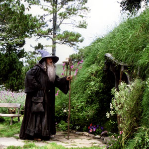 Ian McKellen as Gandalf the Grey